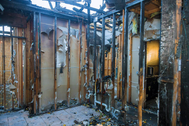 Professional Fire Damage Removal technician working in Lake of the Woods, AZ